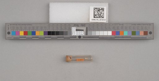 NSF ADBC EPICC TCN