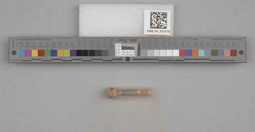 NSF ADBC EPICC TCN