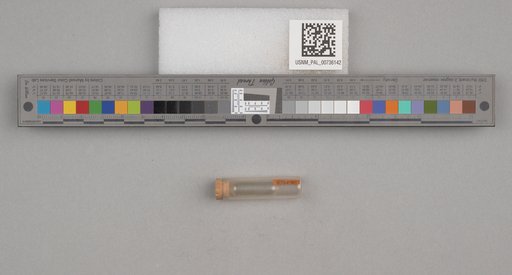 NSF ADBC EPICC TCN