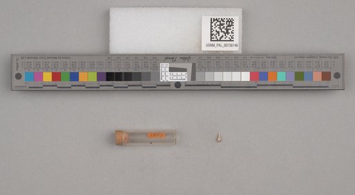 NSF ADBC EPICC TCN
