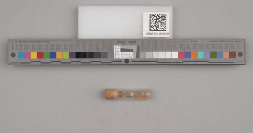 NSF ADBC EPICC TCN