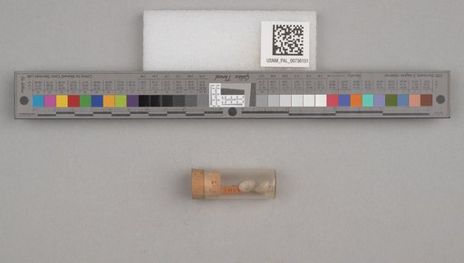 NSF ADBC EPICC TCN