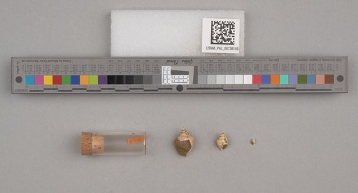 NSF ADBC EPICC TCN