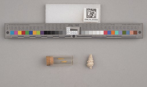 NSF ADBC EPICC TCN