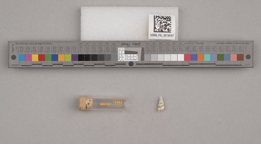 NSF ADBC EPICC TCN