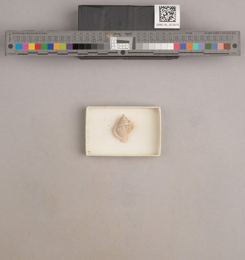 NSF ADBC EPICC TCN