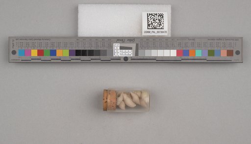 NSF ADBC EPICC TCN