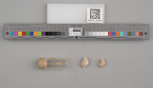 NSF ADBC EPICC TCN