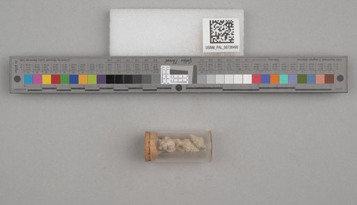 NSF ADBC EPICC TCN