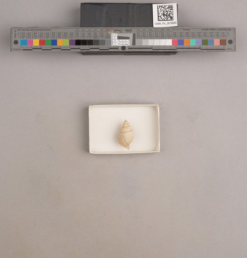 NSF ADBC EPICC TCN