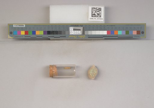 NSF ADBC EPICC TCN