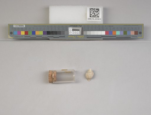 NSF ADBC EPICC TCN
