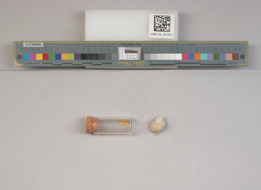 NSF ADBC EPICC TCN