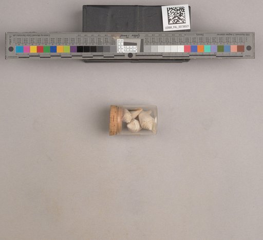 NSF ADBC EPICC TCN