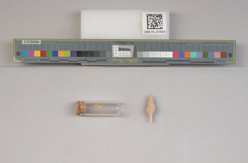NSF ADBC EPICC TCN