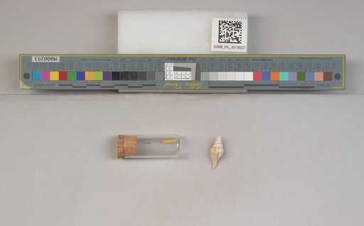 NSF ADBC EPICC TCN