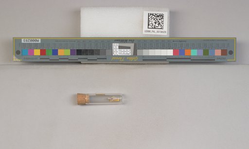 NSF ADBC EPICC TCN
