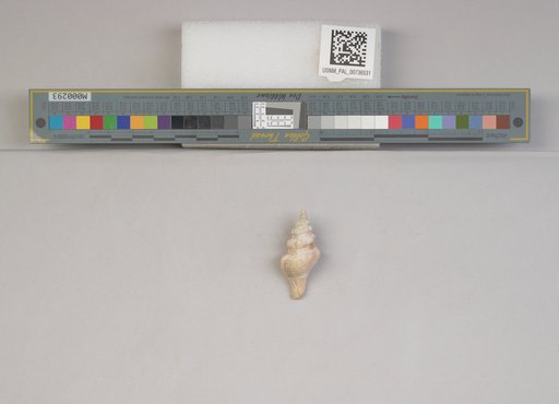 NSF ADBC EPICC TCN