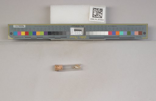NSF ADBC EPICC TCN