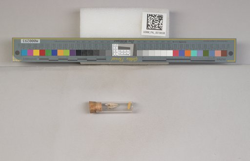 NSF ADBC EPICC TCN