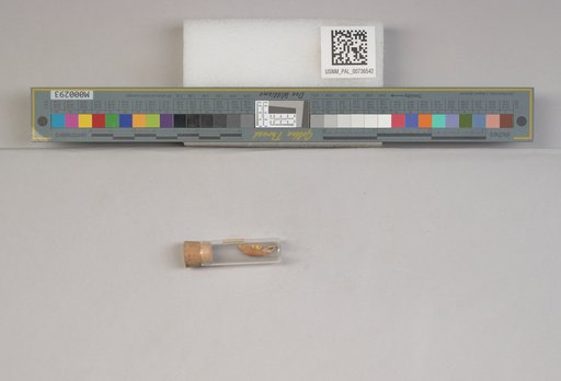 NSF ADBC EPICC TCN