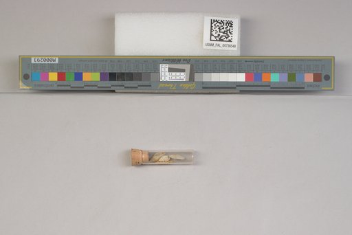 NSF ADBC EPICC TCN