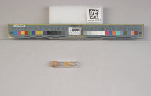 NSF ADBC EPICC TCN