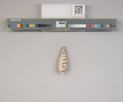 NSF ADBC EPICC TCN