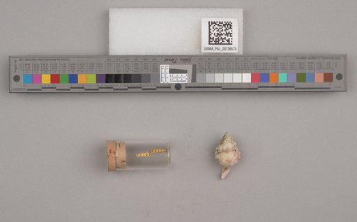 NSF ADBC EPICC TCN