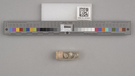 NSF ADBC EPICC TCN