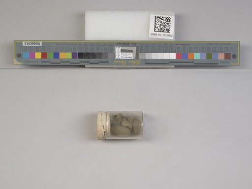 NSF ADBC EPICC TCN