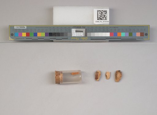 NSF ADBC EPICC TCN