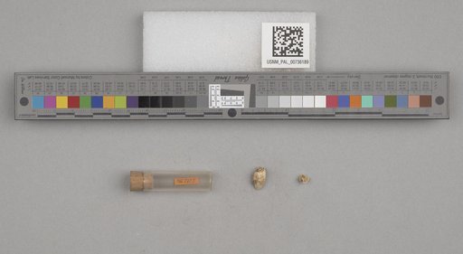 NSF ADBC EPICC TCN