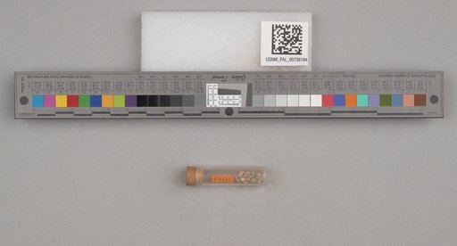 NSF ADBC EPICC TCN