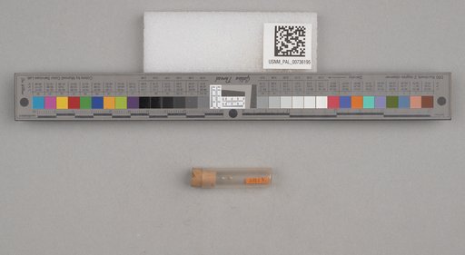 NSF ADBC EPICC TCN