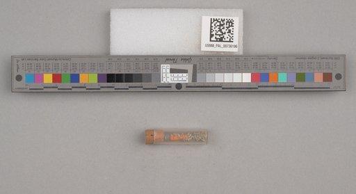 NSF ADBC EPICC TCN