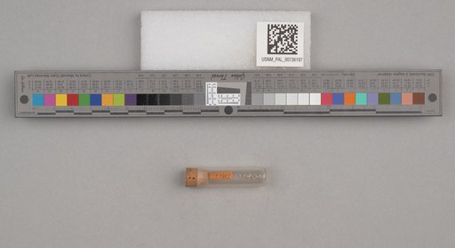 NSF ADBC EPICC TCN