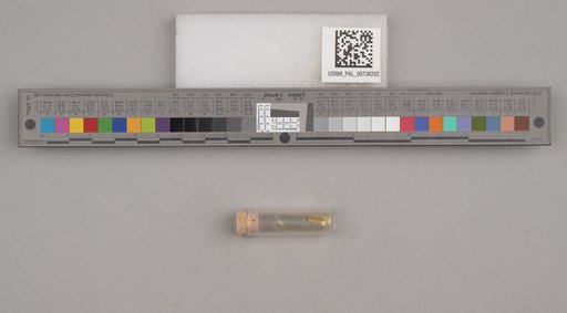 NSF ADBC EPICC TCN
