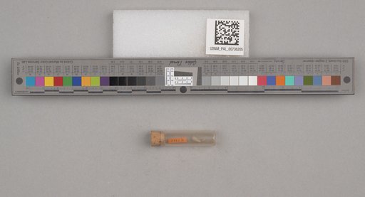 NSF ADBC EPICC TCN