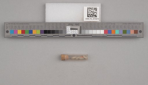 NSF ADBC EPICC TCN