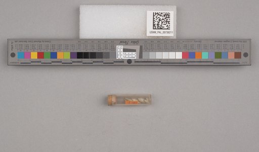 NSF ADBC EPICC TCN