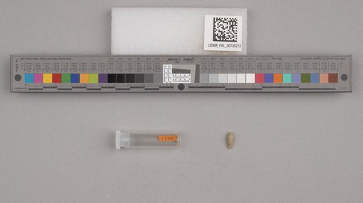 NSF ADBC EPICC TCN