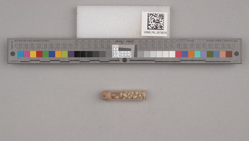 NSF ADBC EPICC TCN