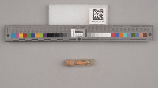 NSF ADBC EPICC TCN