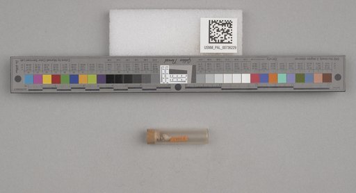 NSF ADBC EPICC TCN