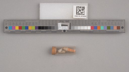 NSF ADBC EPICC TCN