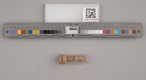 NSF ADBC EPICC TCN