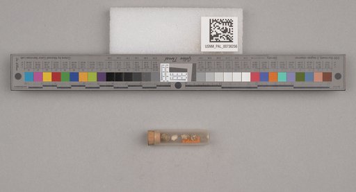 NSF ADBC EPICC TCN