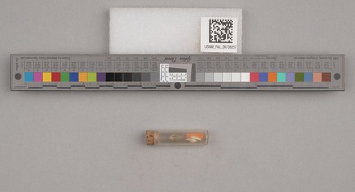 NSF ADBC EPICC TCN