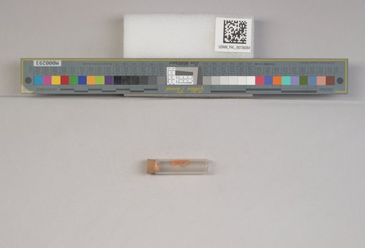 NSF ADBC EPICC TCN